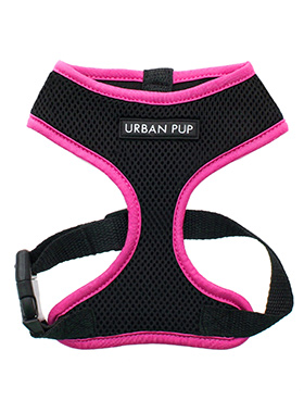 Active Mesh Neon Pink Harness
