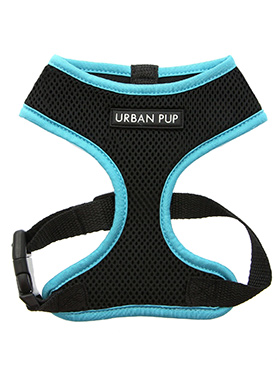 Active Mesh Neon Blue Harness