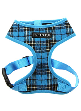 Blue Tartan Harness