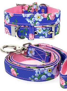 Pink / Blue Floral Burst Fabric Collar & Lead Set
