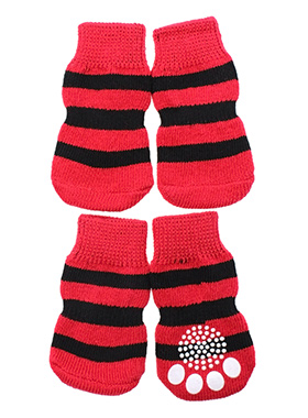 Wicked Witch Pet Socks